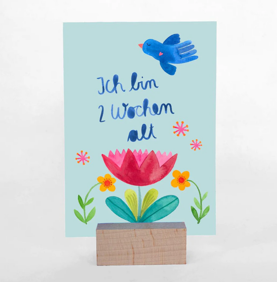 Baby Meilsenteinkarten von Frau Ottilie