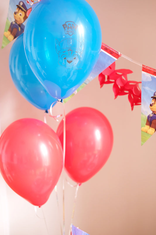 Paw Patrol party decoration set colorful for boys and girls - Paw Patrol Party