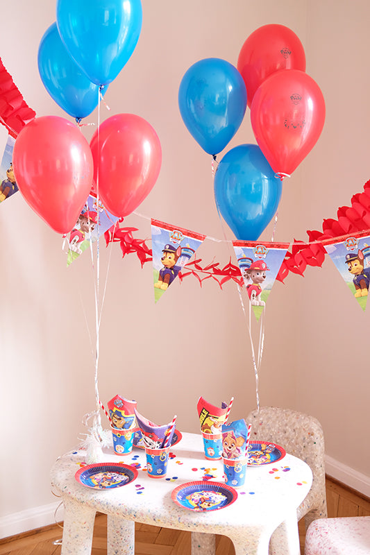 Paw Patrol party decoration set colorful for boys and girls - Paw Patrol Party
